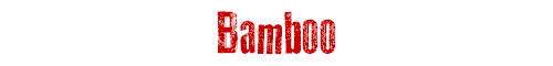 Bamboo