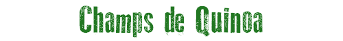 Champs de Quinoa