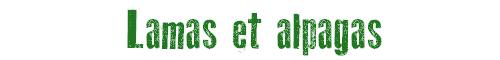 Lamas et Alpagas