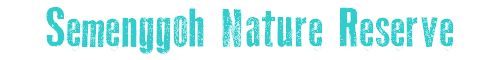 Semenggoh Nature Reserve