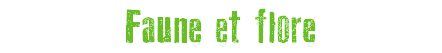 Faune et flore