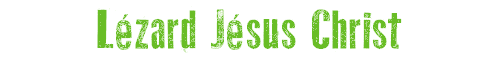Lzard Jsus Christ