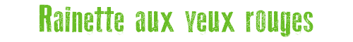 Rainette aux yeux rouges