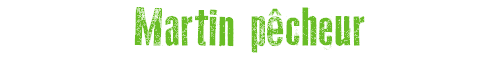 Martin pcheur