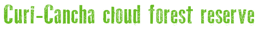 Curi-Cancha cloud forest reserve