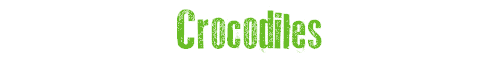Crocodiles