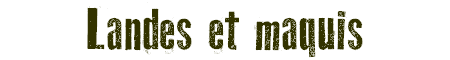 Landes et maquis