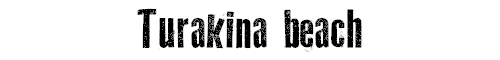 Turakina beach