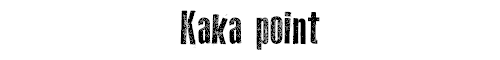 Kaka point