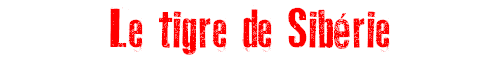 Le tigre de Sibrie