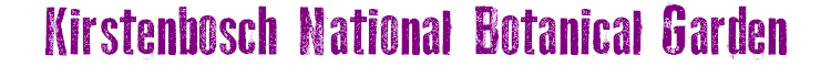 Kirstenbosch National Botanical Garden