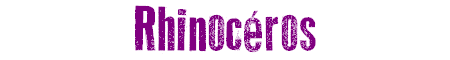 Rhinocéros
