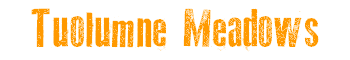 Tuolumne Meadows